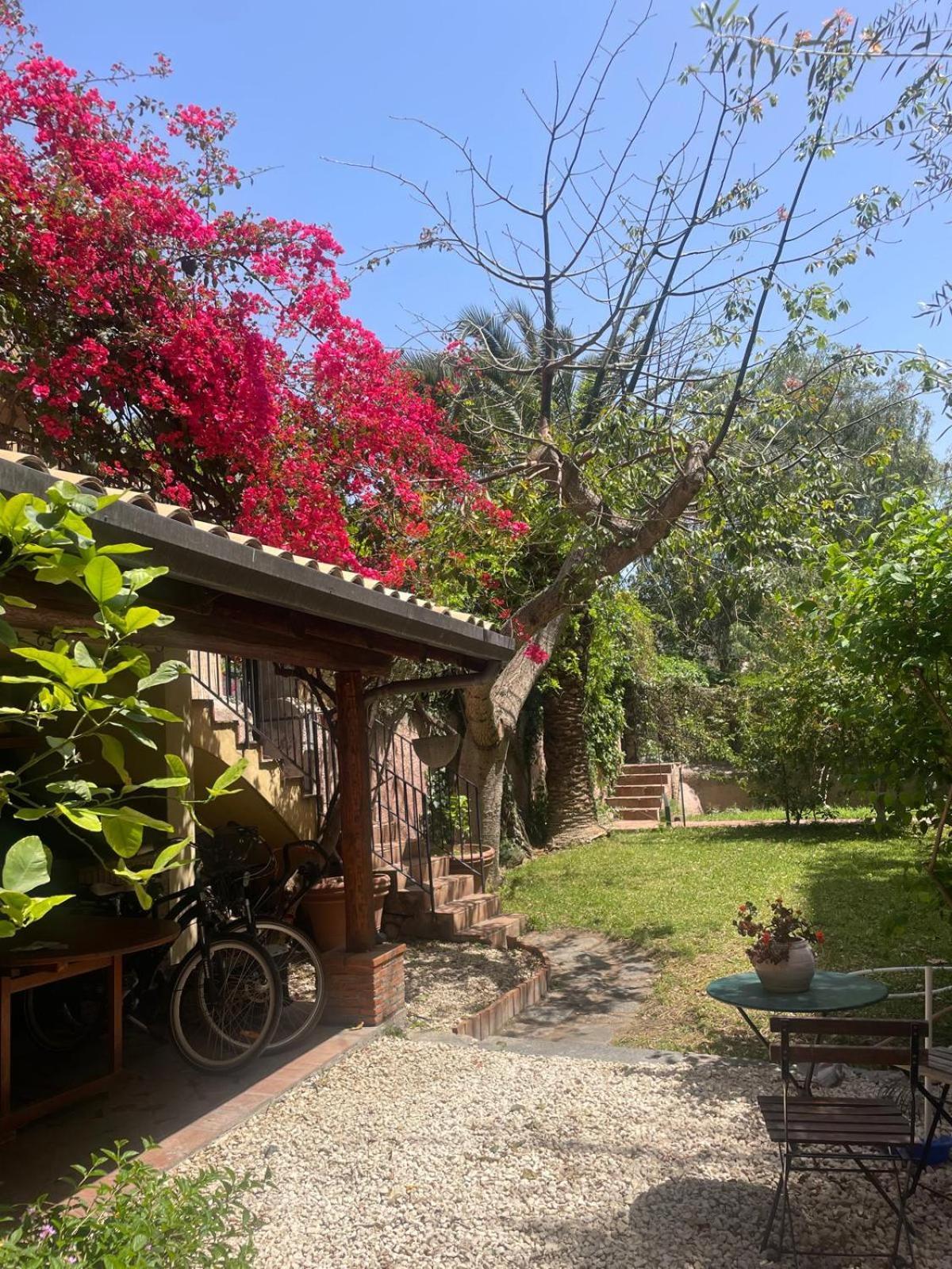 Inn The Garden Κατάνια Εξωτερικό φωτογραφία